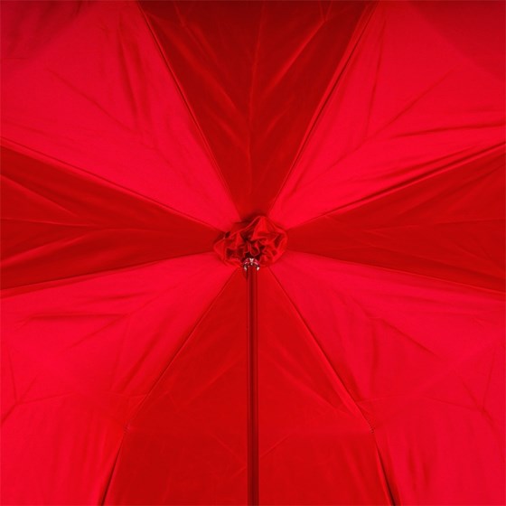 Pasotti SpanishFeel Umbrella with Red Roses Applications, Double Cloth Special Umbrellas
