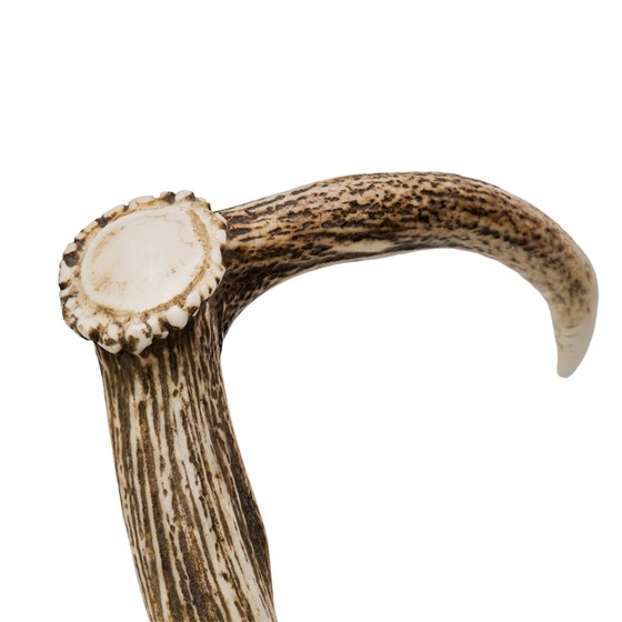 Pasotti Deer Antler Cane with Chestnut Shaft and Horn End Unique Canes